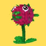 Dragonfruit